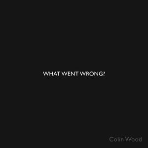 WHAT WENT WRONG