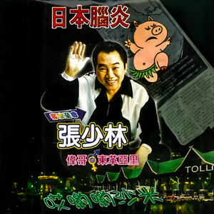 张少林 - 戆人情多