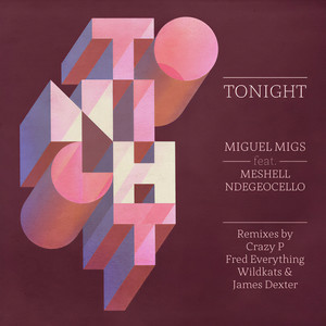 Miguel Migs - Tonight (Fred Everything Lazy Dub)
