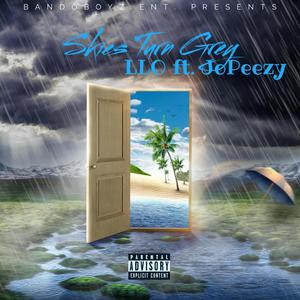 Skies Turn Grey (feat. JoPeezy) (Explicit)