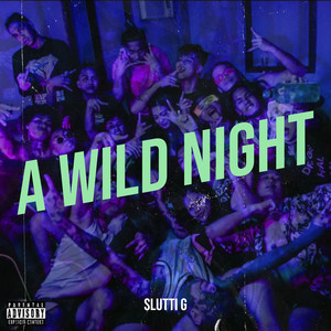 A Wild Night (Explicit)