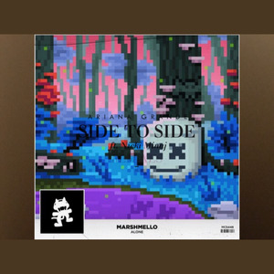 Side to Side (Slushii Rremix) & Alone(DW Mashup)