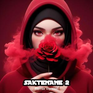 Saktenane 2 (feat. DJ Ria Rilley) [Remix Version]