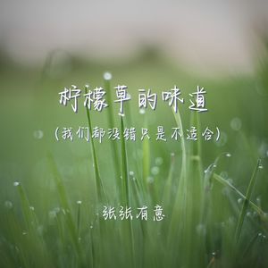 柠檬草的味道（我们都没错只是不适合）