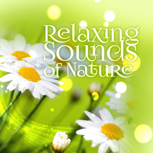 Relaxing Sounds of Nature - Calming Background Ambient Collection, Zen Spa Music, Deep Meditation, Yoga, Massage Music, Restful Sleep, Reiki Sound Healing