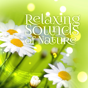 Lotus Flower (Relax Music)
