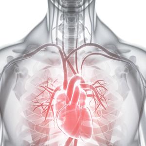 BLACKOUT FREESTYLE (feat. August Fear) (Explicit)