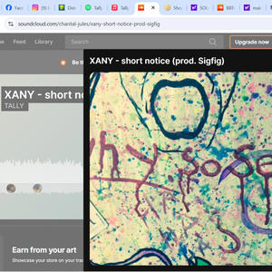 XANY (short notice (2017) (Explicit)