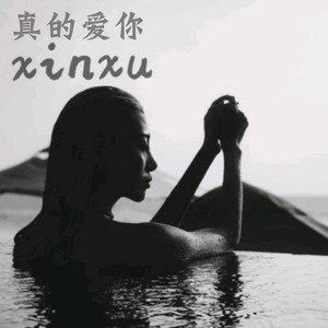 真的爱你 (DJ新旭版)封面