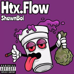 Htx.Flow (Explicit)