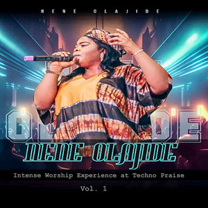 Intense Worship Experience (Techno Praise, Vol.1)