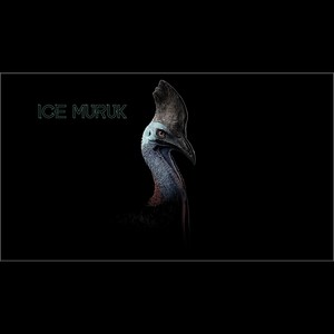 Ice Muruk