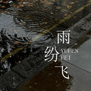 雨纷飞 (飞在天空里是我的眼泪)封面
