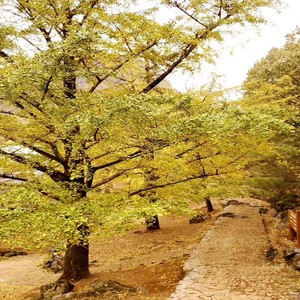知心好朋友 (雨燕对唱版)
