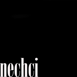 nechci (Prod. AudioVibe)