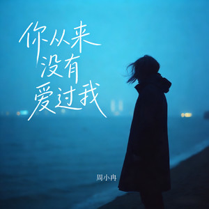 你从来没有爱过我