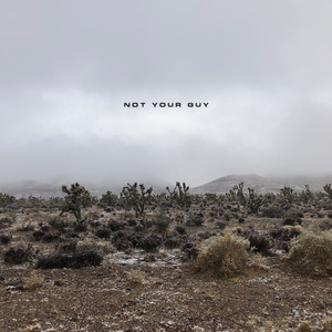 NOT YOUR GUY (Explicit)