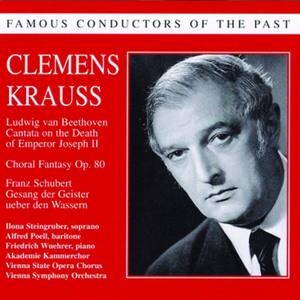 Famous Conductors of The Past - Clemens Krauss