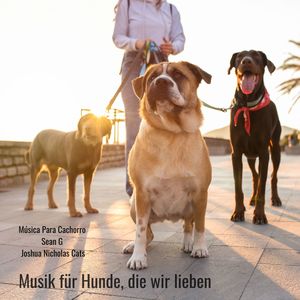 Musik Für Hunde, Die Wir Lieben