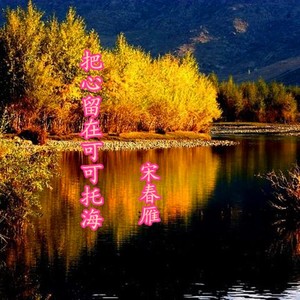 宋春雁 - 把心留在可可托海