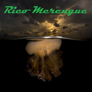 Wilfrido Vargas - El Pajarito