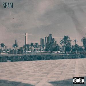 Spam (Explicit)