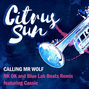 Calling Mr Wolf(NK-OK Blue Lab Beats Remix)