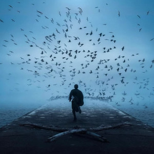 生命的同花顺 (动感版)