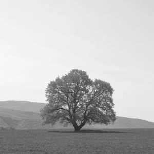 Wrong or Right (Explicit)