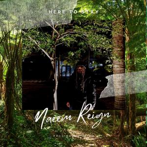 Here To Stay (Explicit)