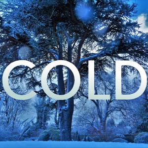 Cold