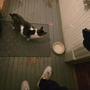 Money Stackin' (Explicit)