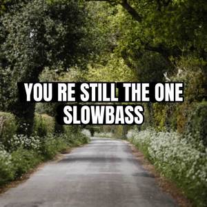 Dj - YOU RE STILL THE ONE SLOWBASS