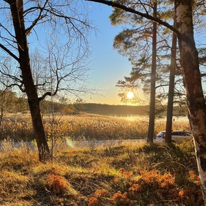 Ville bara berätta