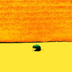 Hidden Hand(feat. Holocost & Agent or Angel) (Explicit)