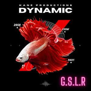 Dynamic (feat. G.S.L.R) [Explicit]