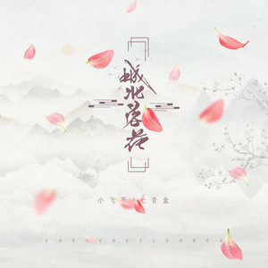 城北落花 (DJ版)封面