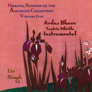 Healing Sounds of the Ancients, Vol. 5: Ardas Bhaee Tantric Whistle (Instrumental)