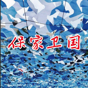 高歌 - 绿军装的梦