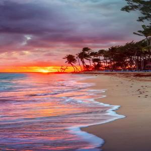 Old Wounds(feat. Vincent Picasso) (Explicit)