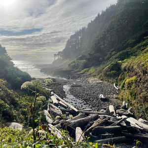 Every Shade Of Green