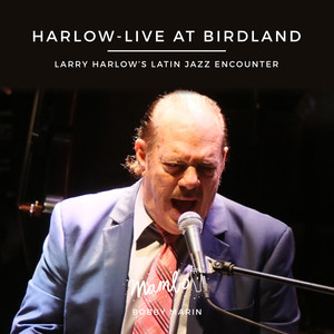 Harlow: Live At Bridland (Live) (Live)