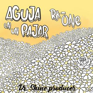 Aguja En Un Pajar (feat. Dr. Shine & Area 417)