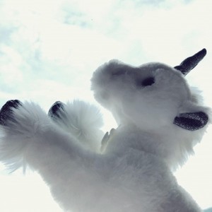 lin同学 - 有可能的夜晚