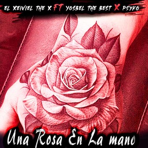 Una Rosa En La Mano