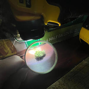 Rainbow Road/Bart Simpson (Explicit)