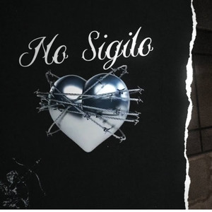 No Sigilo