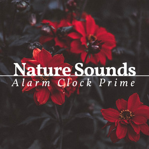 Nature Sounds Alarm Clock Prime - 2 Hours of Nature Sounds Alarm Clock