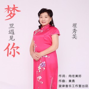 翟秀英 - 梦里遇见你