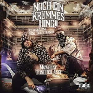 Noch Ein Krummes Ding!! (feat. Toni Der Assi) (Explicit)